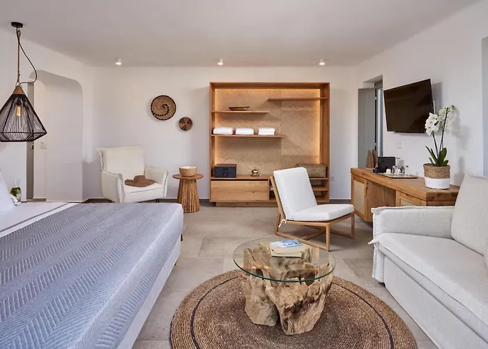 Ionic Super Paradise Beach (Mykonos)