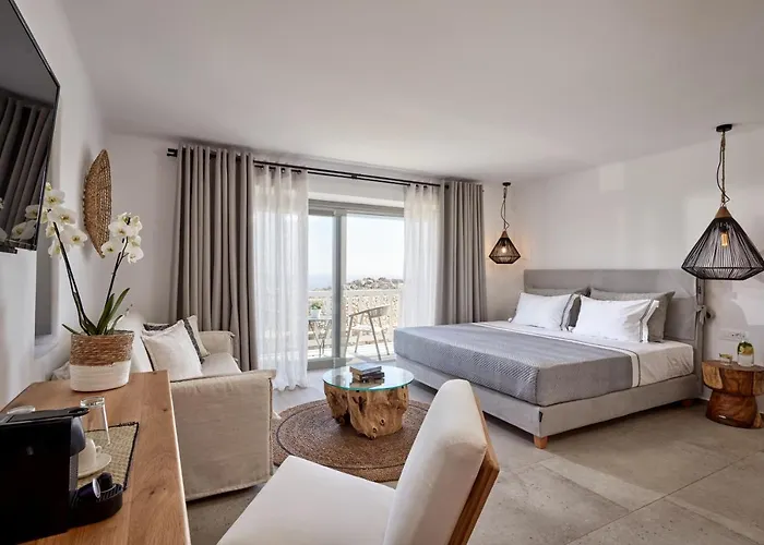 Otel Ionic Super Paradise Beach (Mykonos)