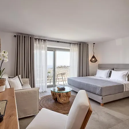Otel Ionic Super Paradise Beach (Mykonos)